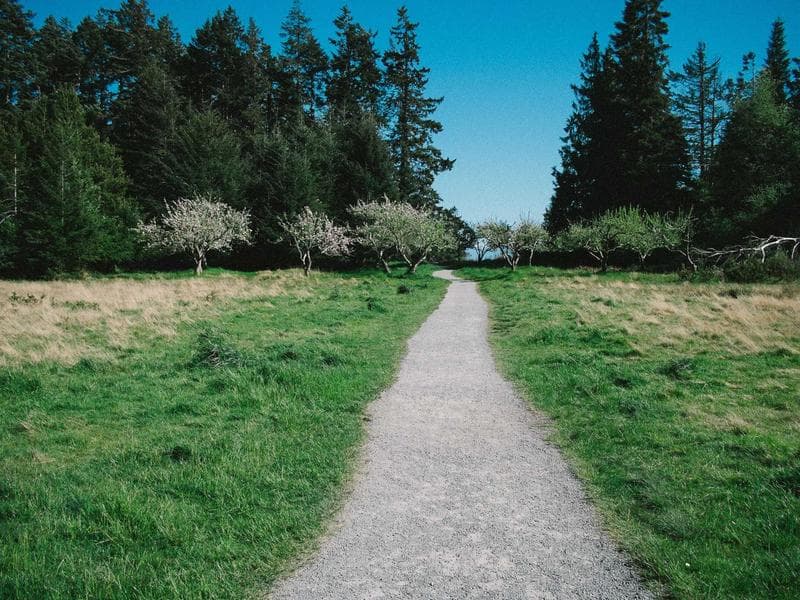 GoPro Hero 13 Bundle