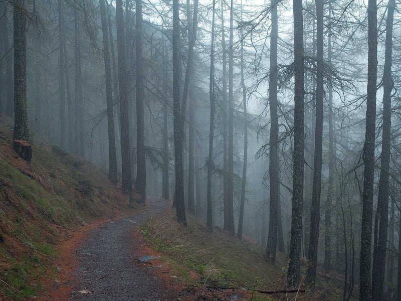 Shoei X-SPR Pro Helmet